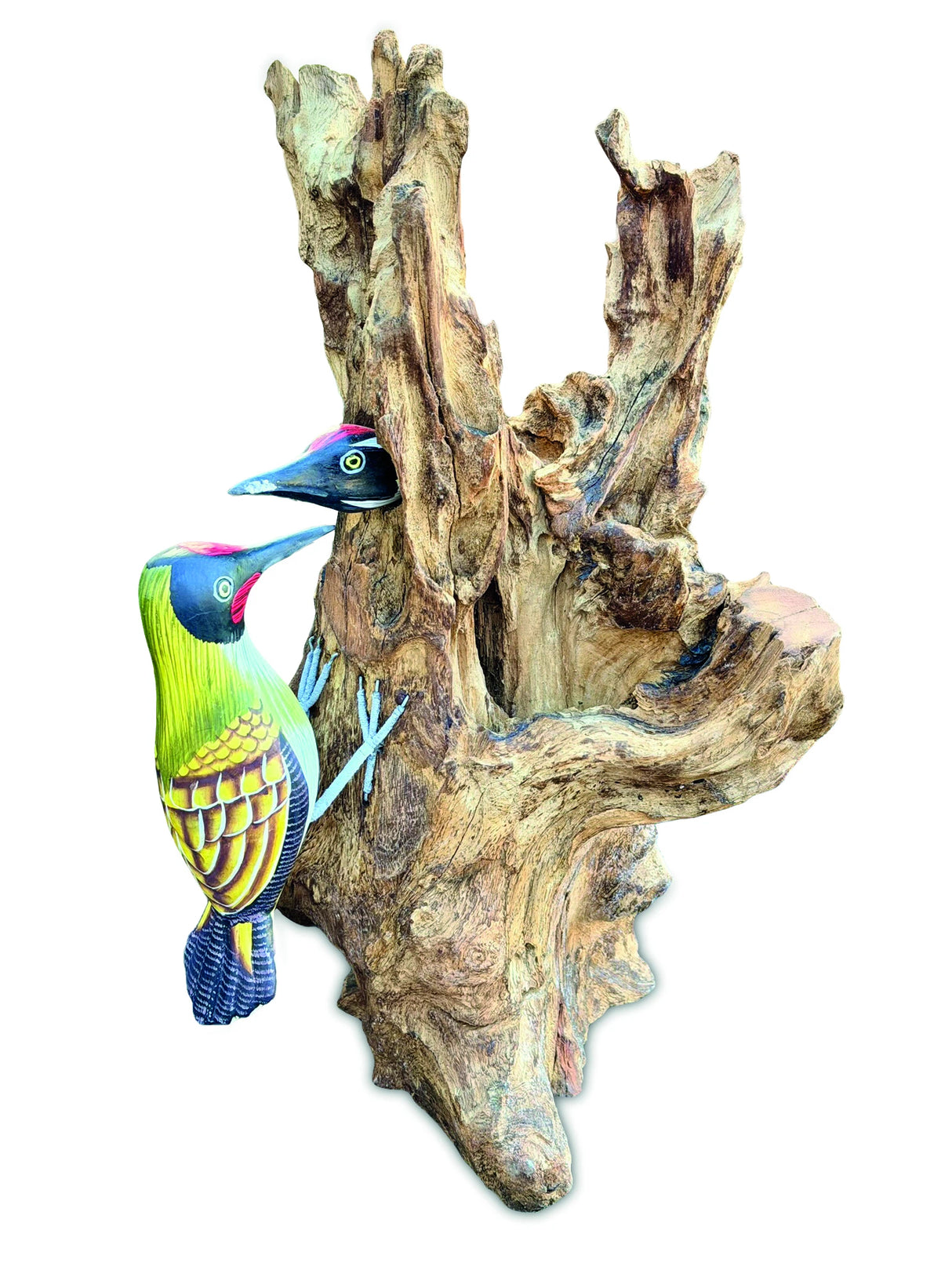 Woodpecker Feeding 40cm