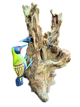 Woodpecker Feeding 40cm