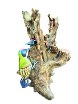 Woodpecker Feeding 40cm