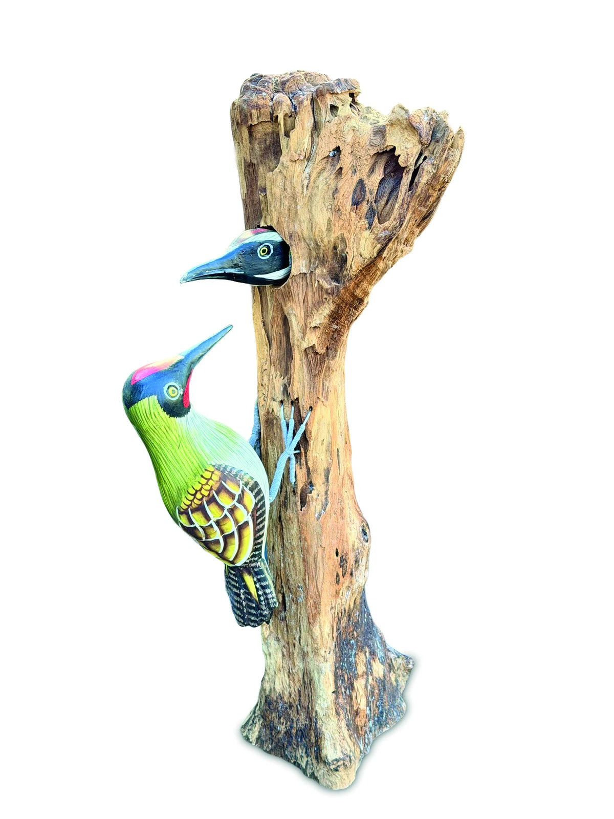 Woodpecker Feeding 40cm