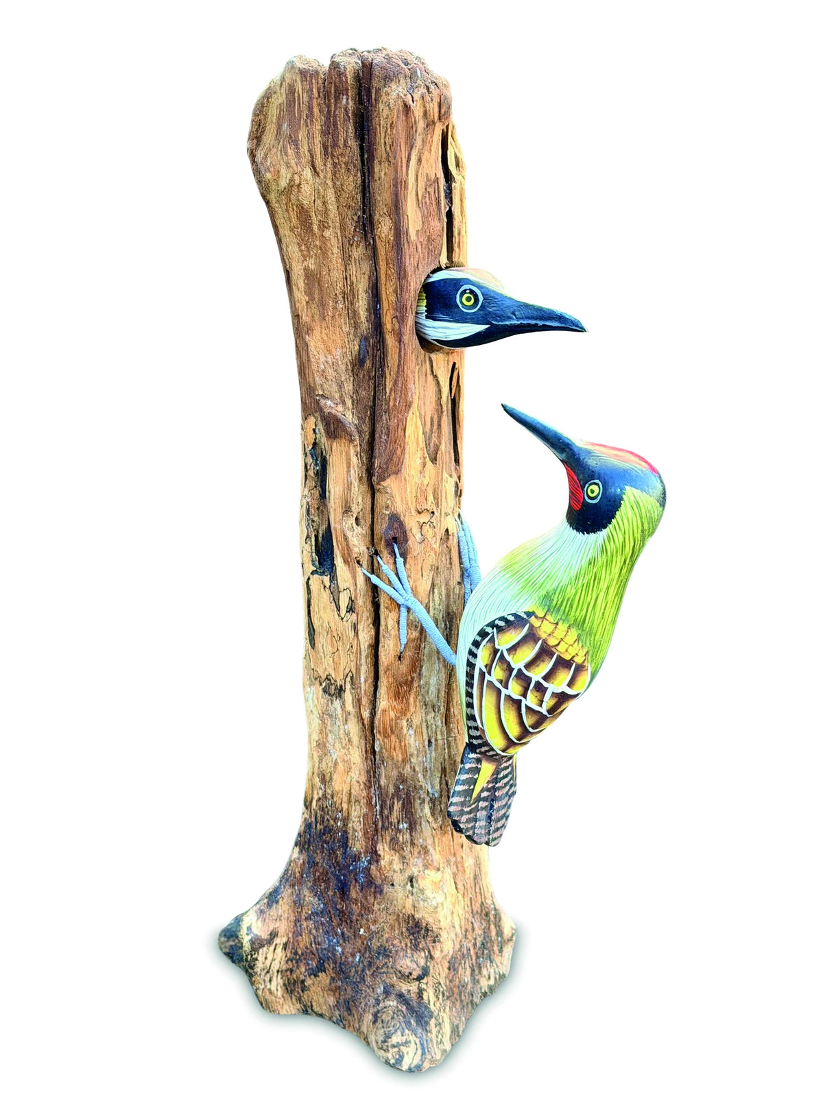 Woodpecker Feeding 40cm