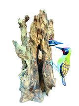 Woodpecker Feeding 40cm