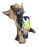 Woodpecker Feeding 40cm
