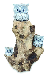 3 Baby Owls In A Tree