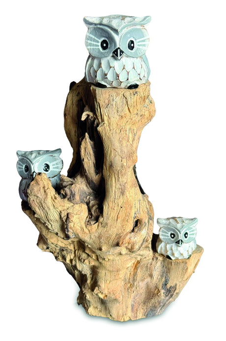 3 Baby Owls In A Tree
