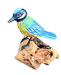 Single Blue Tit Foraging
