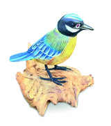 Single Blue Tit Foraging
