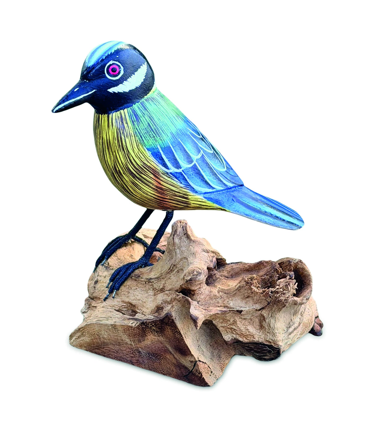 Single Blue Tit Foraging