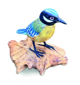 Single Blue Tit Foraging
