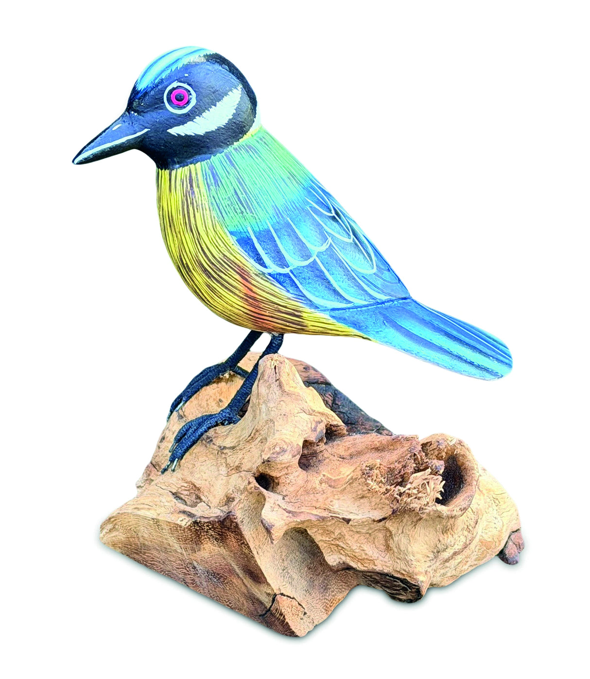 Single Blue Tit Foraging