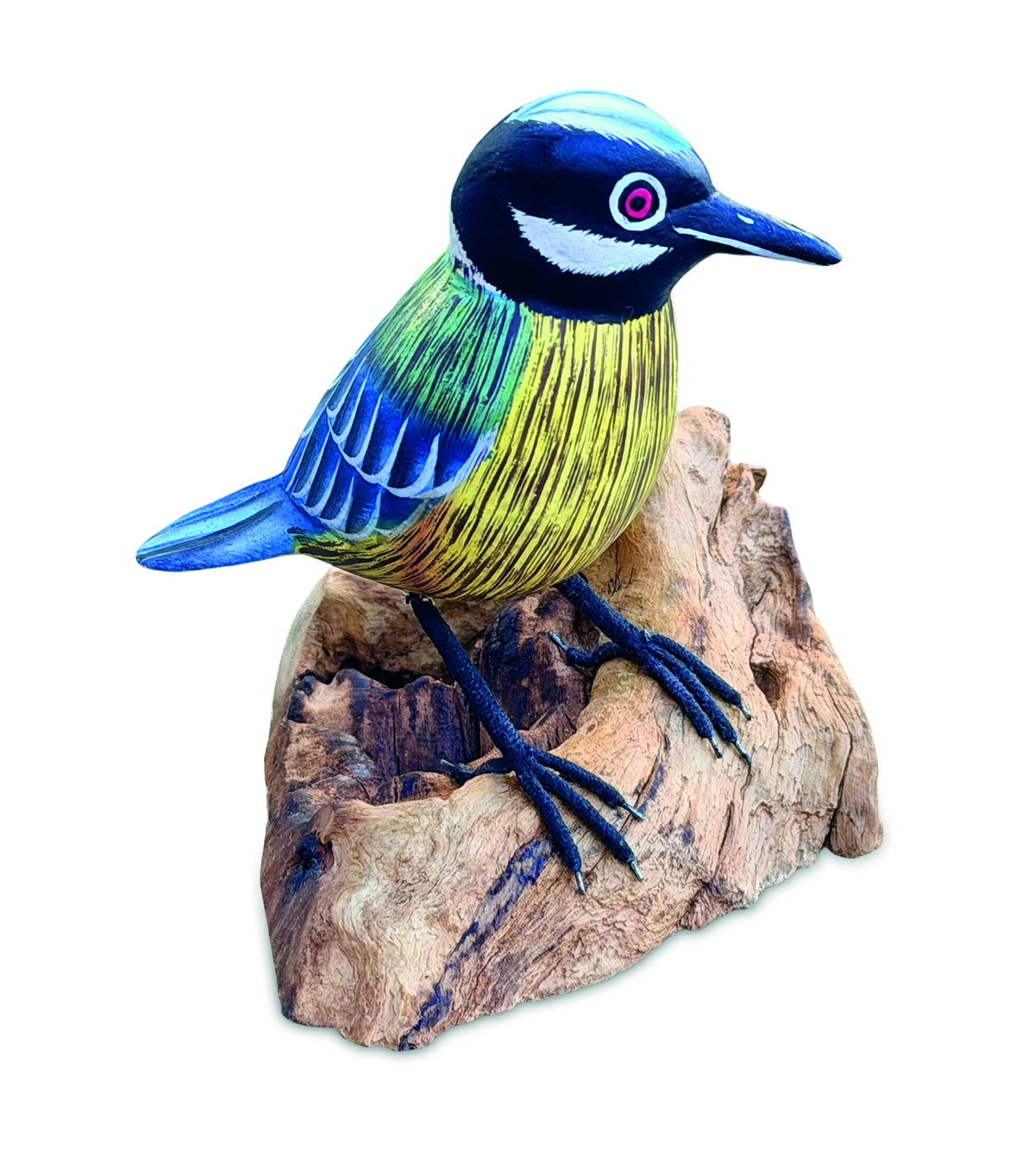 Single Blue Tit Foraging