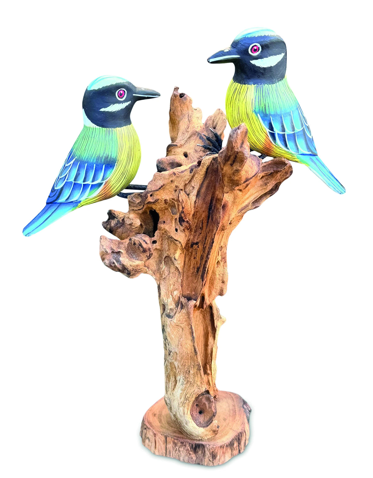 Double Blue Tit Foraging