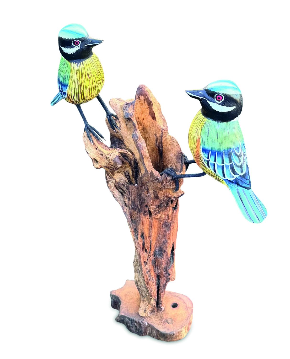 Double Blue Tit Foraging