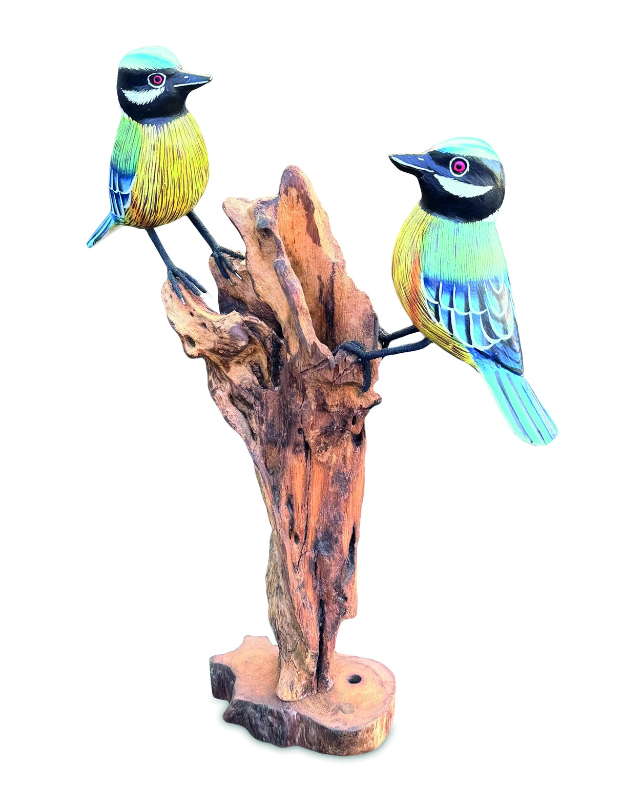 Double Blue Tit Foraging