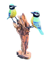Double Blue Tit Foraging