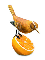 Wren Munching An Orange (Please Order In Multiples Of 2)