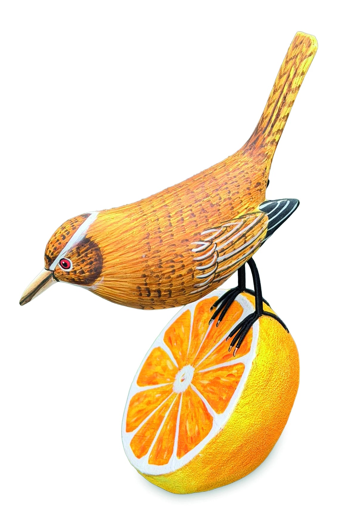 Wren Munching An Orange (Please Order In Multiples Of 2)