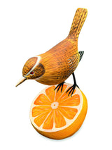 Wren Munching An Orange (Please Order In Multiples Of 2)