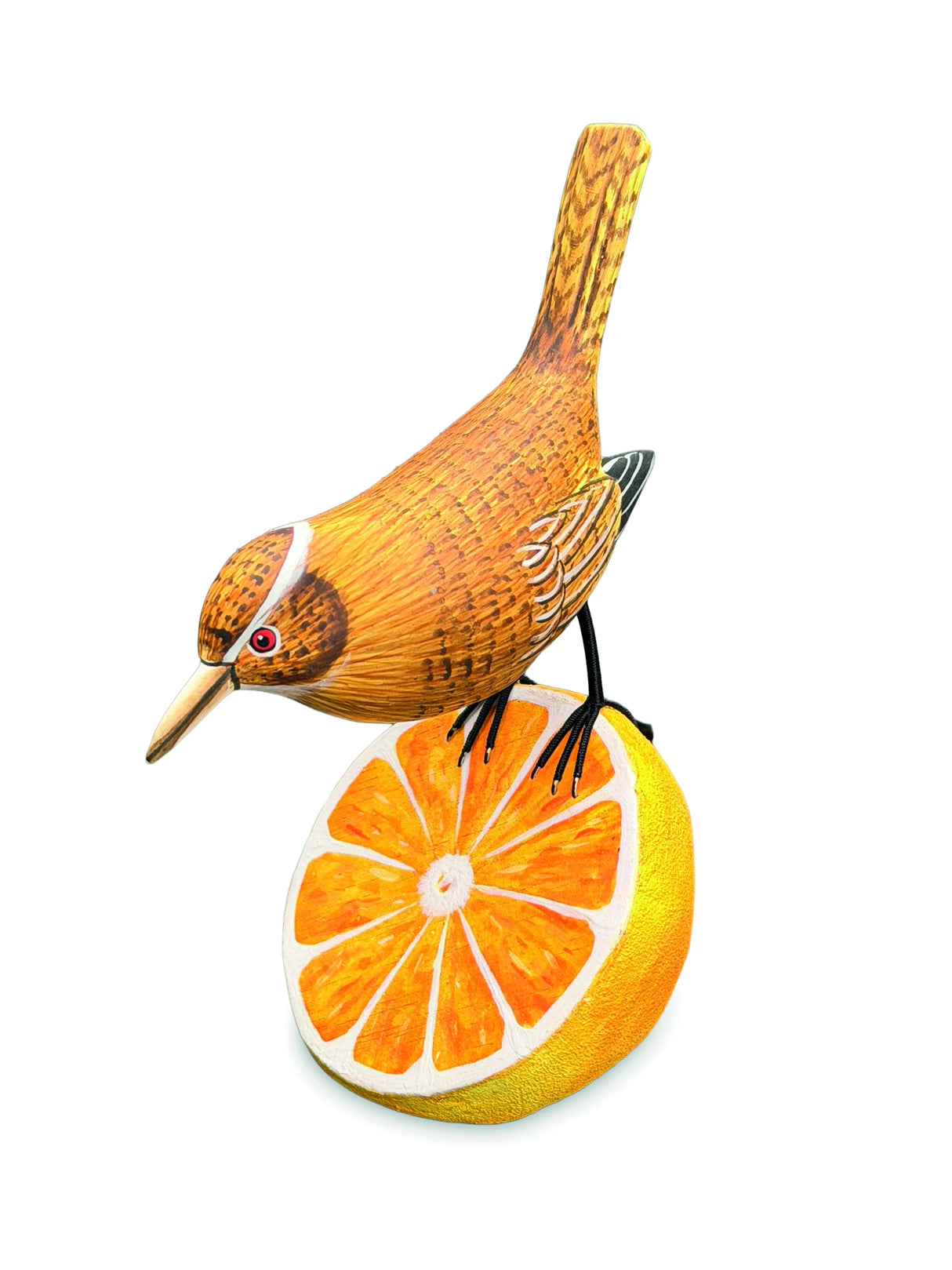 Wren Munching An Orange (Please Order In Multiples Of 2)