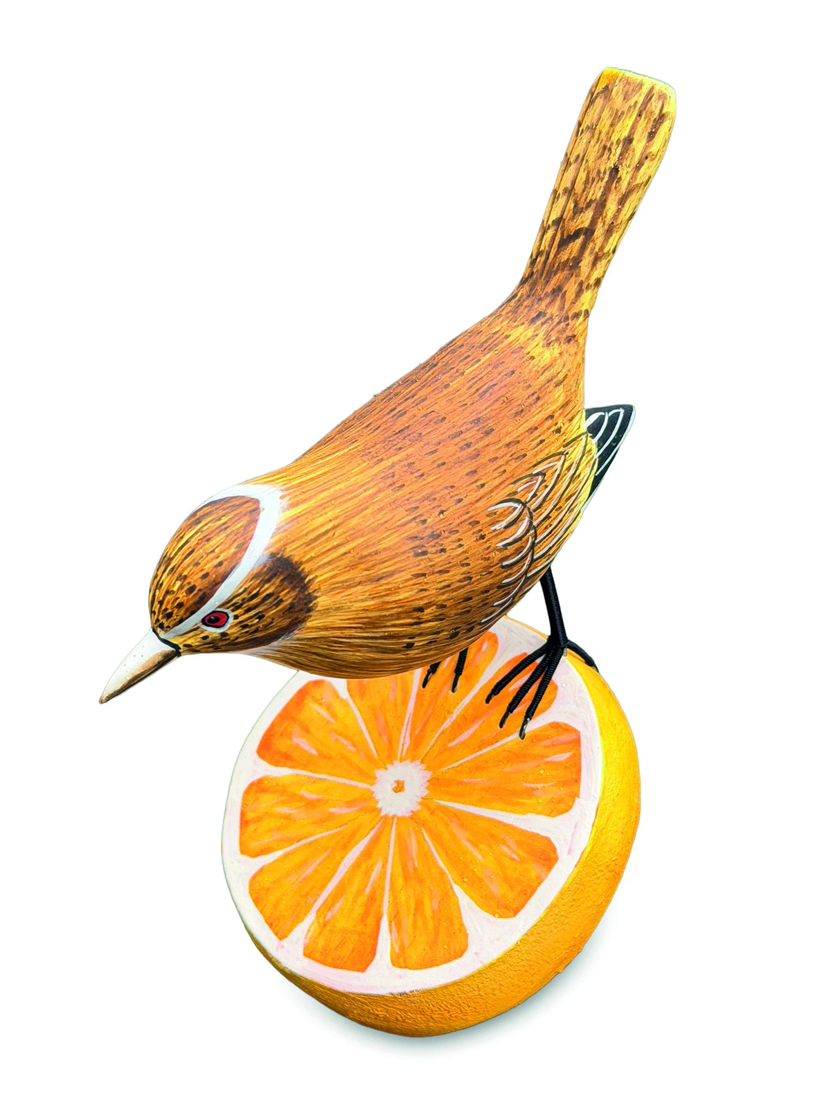 Wren Munching An Orange (Please Order In Multiples Of 2)