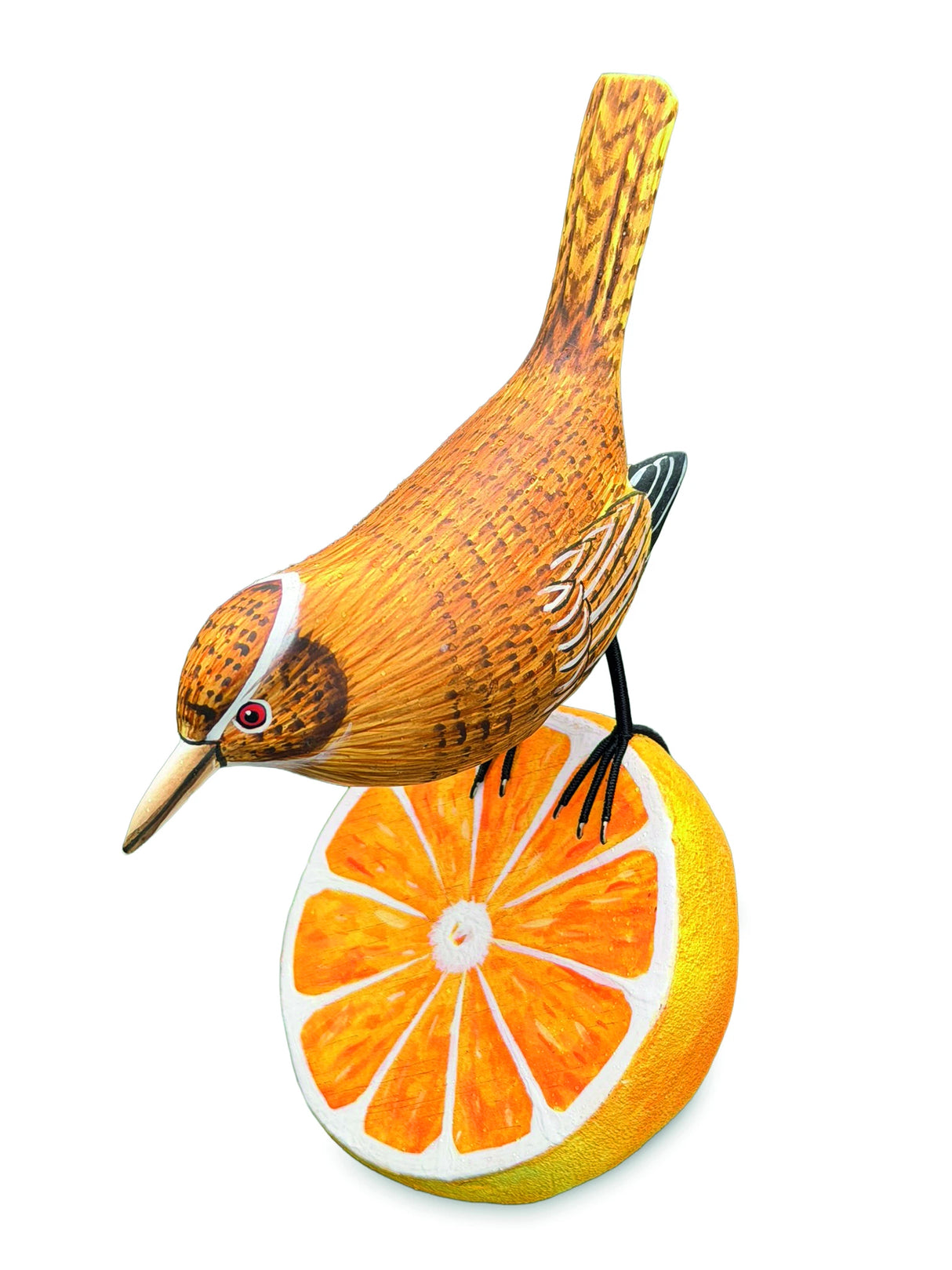 Wren Munching An Orange (Please Order In Multiples Of 2)