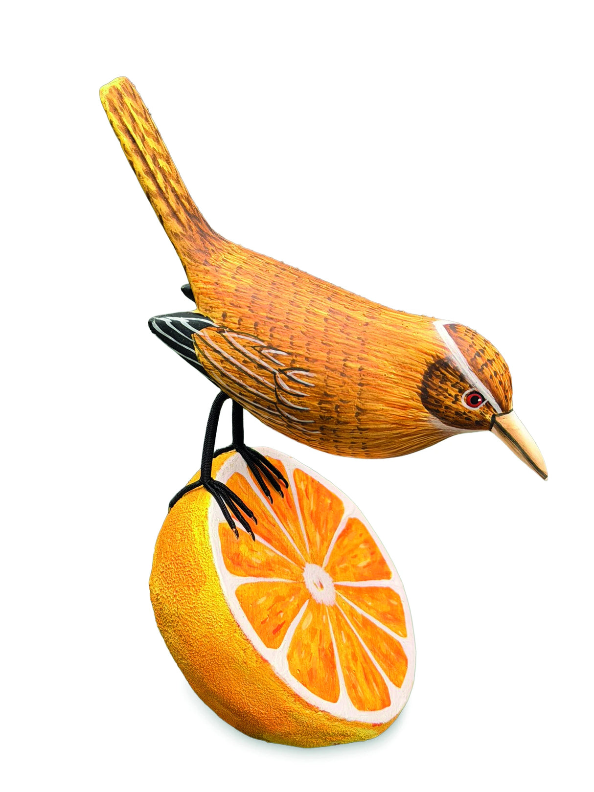 Wren Munching An Orange (Please Order In Multiples Of 2)