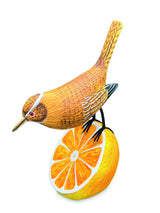 Wren Munching An Orange (Please Order In Multiples Of 2)