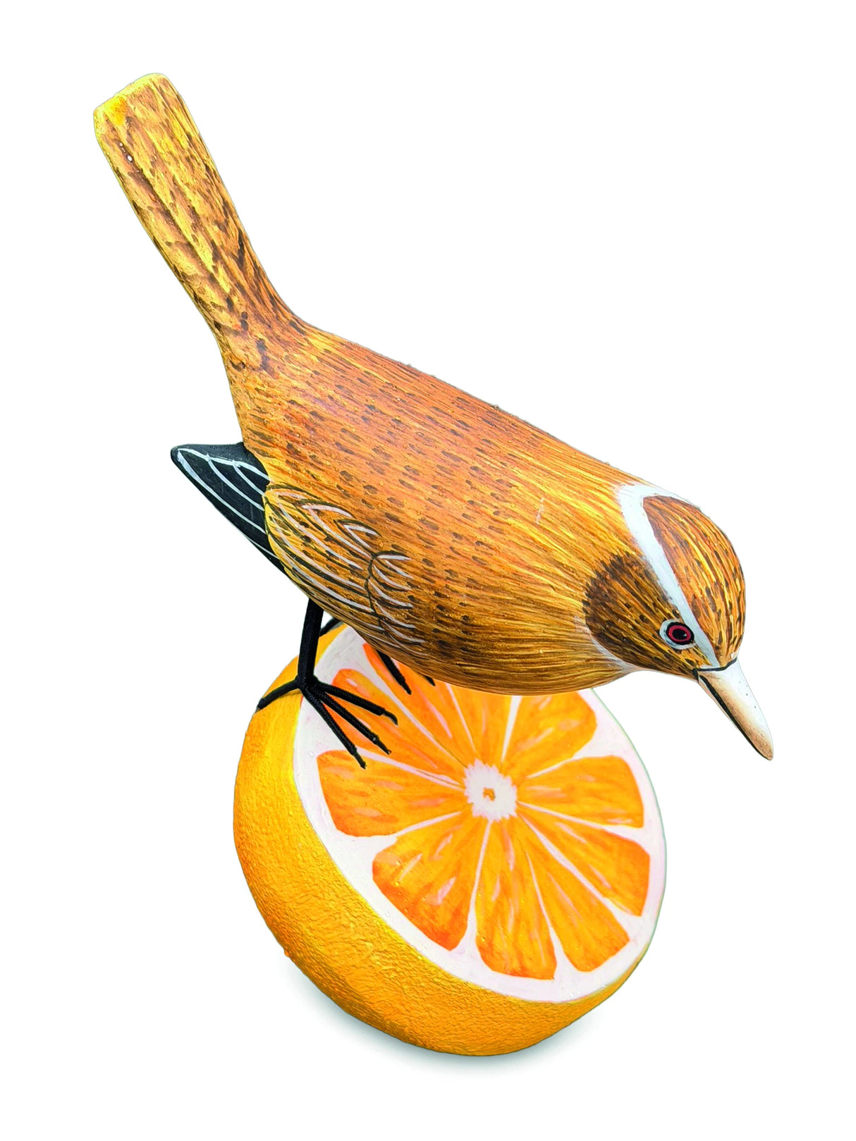 Wren Munching An Orange (Please Order In Multiples Of 2)
