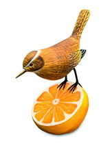 Wren Munching An Orange (Please Order In Multiples Of 2)