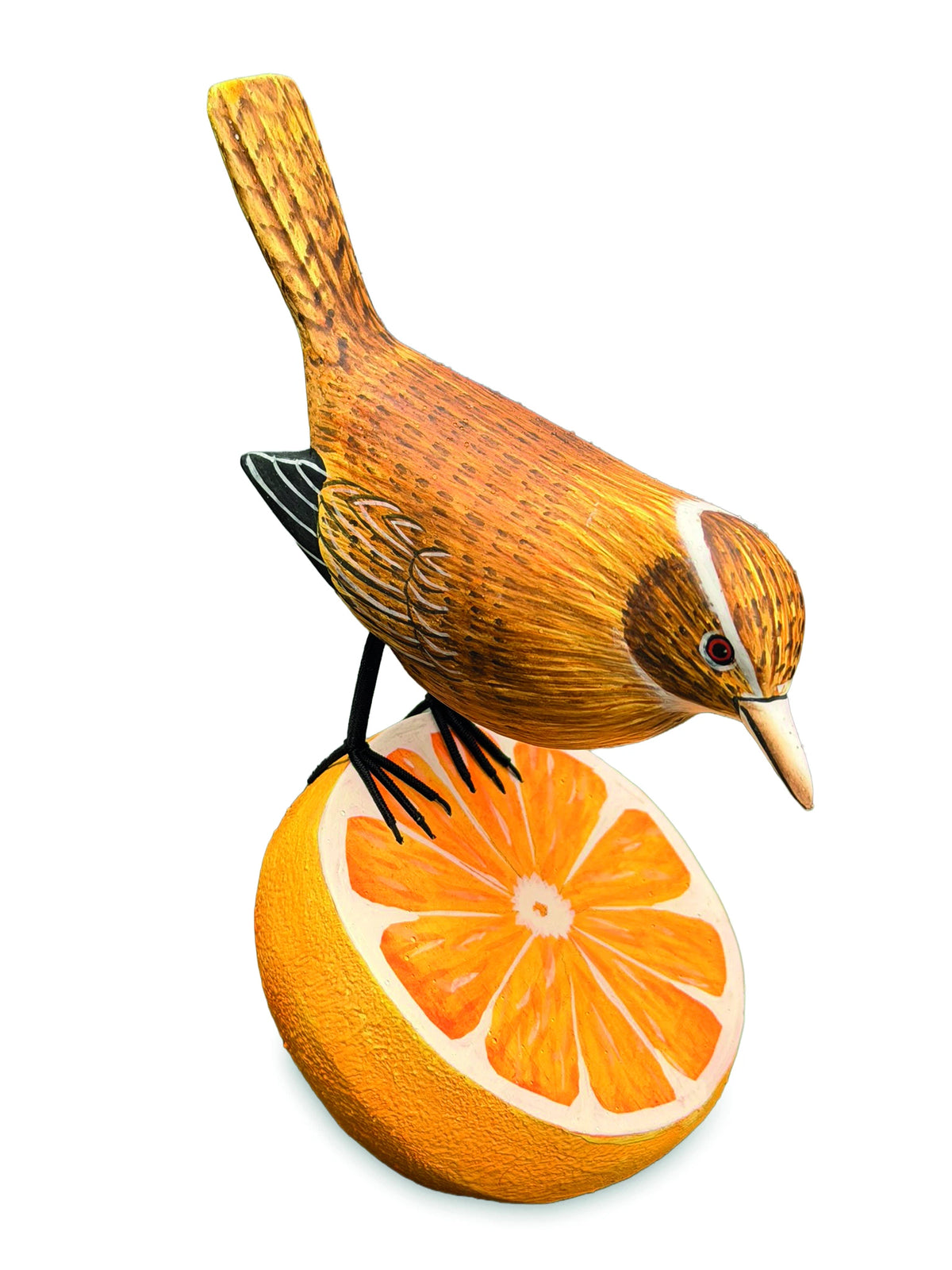 Wren Munching An Orange (Please Order In Multiples Of 2)