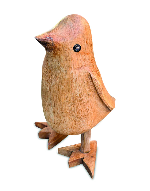 Dizzy Duckling Smooth 15cm