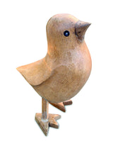 Dizzy Duckling Smooth 15cm