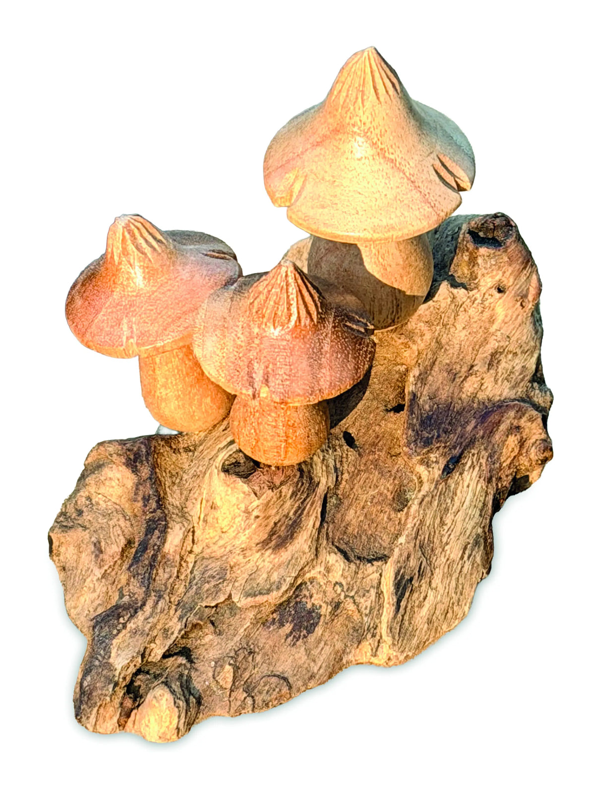 Mystical Magic Bali Mushrooms 10cm