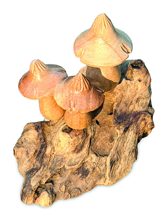 Mystical Magic Bali Mushrooms 10cm
