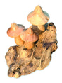 Mystical Magic Bali Mushrooms 10cm