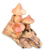 Mystical Magic Bali Mushrooms 10cm