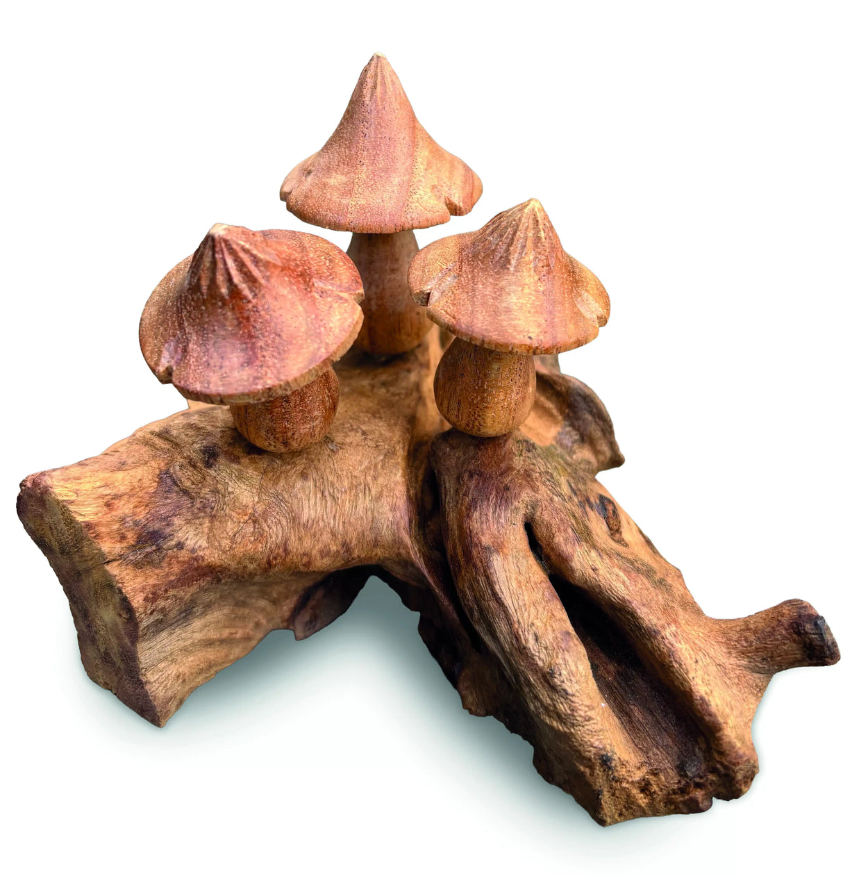 Mystical Magic Bali Mushrooms 10cm
