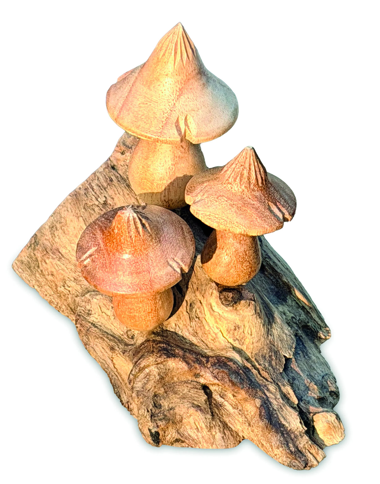 Mystical Magic Bali Mushrooms 10cm