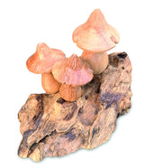 Mystical Magic Bali Mushrooms 10cm