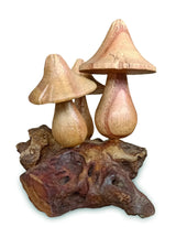 Mystical Magic Bali Mushrooms 10cm