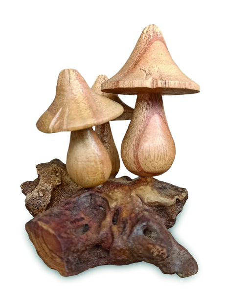 Mystical Magic Bali Mushrooms 10cm