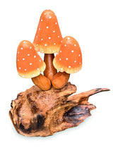 Orange Witchs Hat Mushrooms 12cm