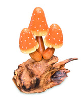 Orange Witchs Hat Mushrooms 12cm