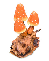 Orange Witchs Hat Mushrooms 12cm