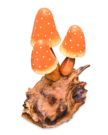 Orange Witchs Hat Mushrooms 12cm