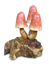 Orange Witchs Hat Mushrooms 12cm