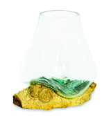 Root With Glass Bowl Medium