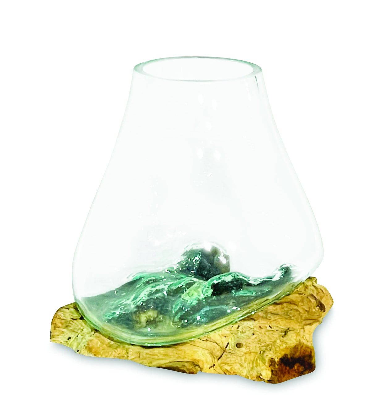 Root With Glass Bowl Medium