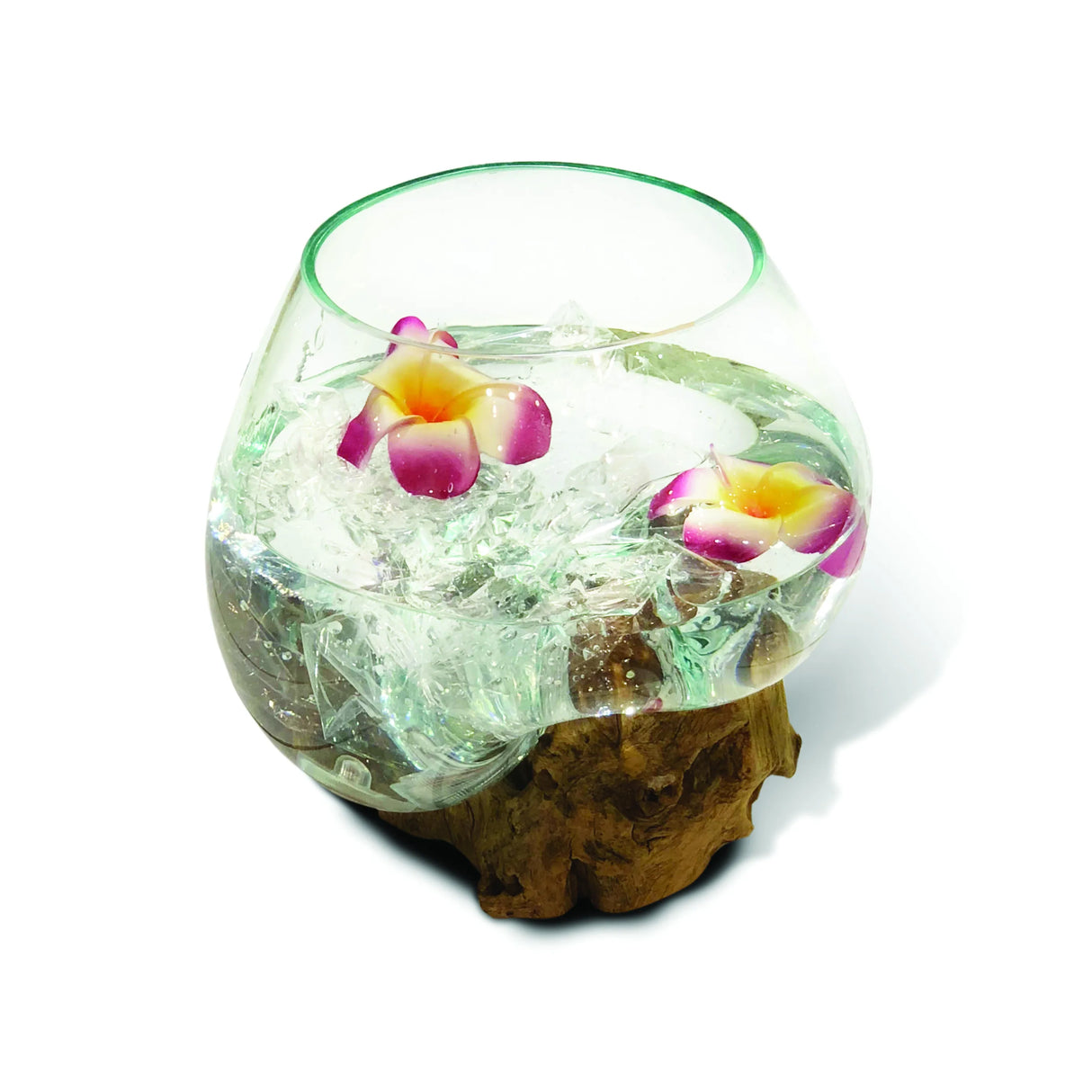 Root With Glass Bowl Medium