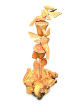 Double Flower Fairies